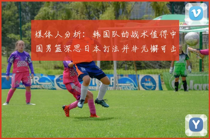 媒体人分析：韩国队的战术值得中国男篮深思日本打法并非无懈可击