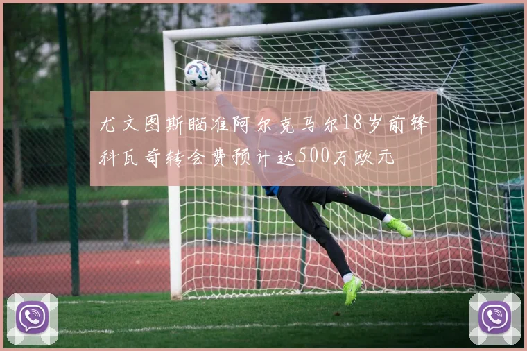 尤文图斯瞄准阿尔克马尔18岁前锋科瓦奇转会费预计达500万欧元